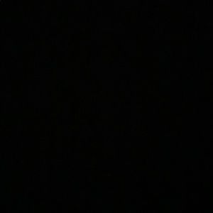 Meet your Posher, Maya